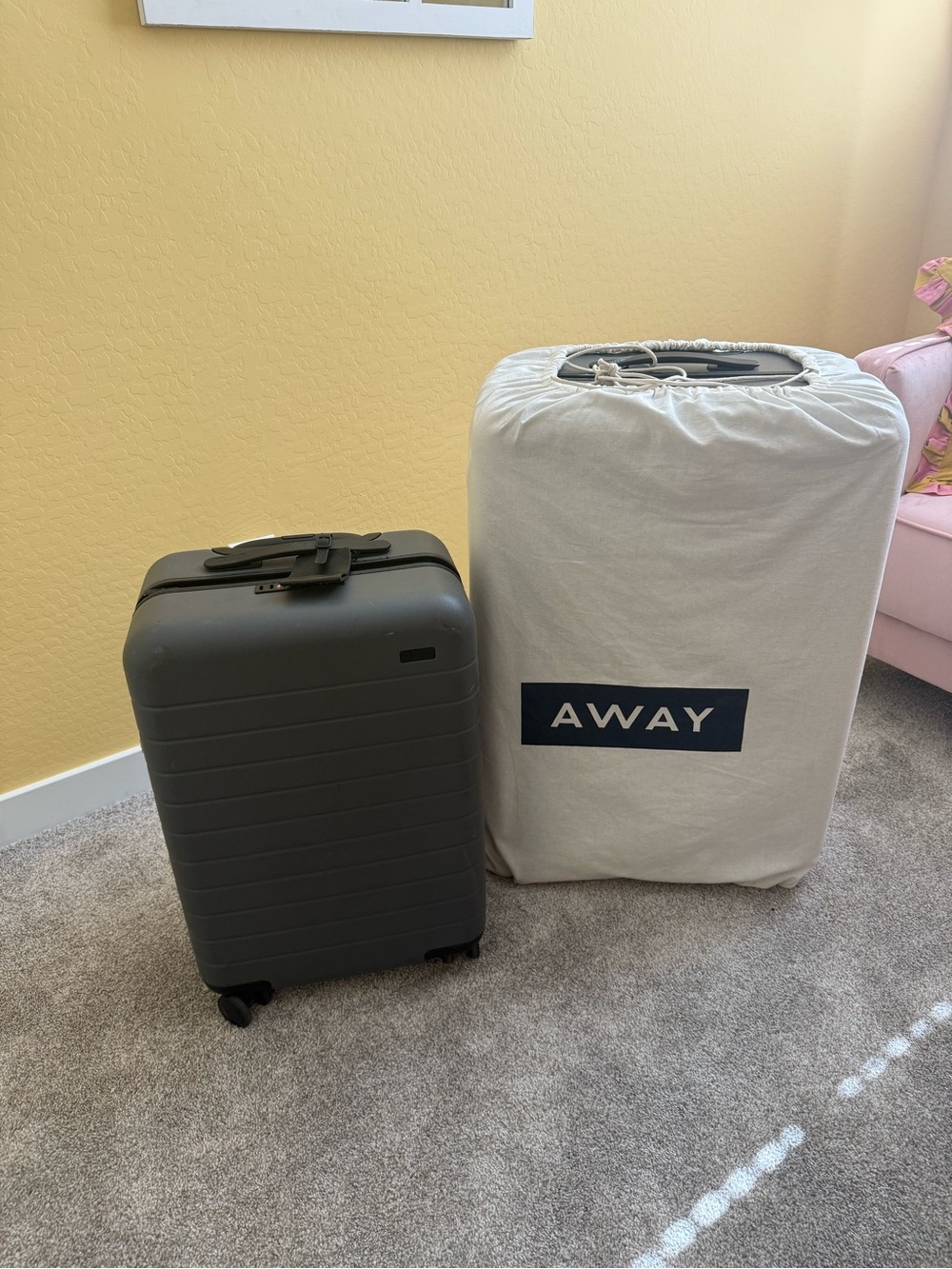 Away Carry-On Suitcase in Charcoal Gray with Branded Dust Bag